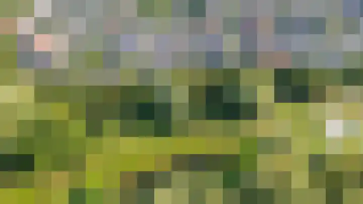 Seychellen 138 Utrecht thumbnail 55