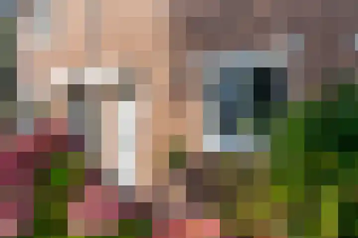 Seychellen 138 Utrecht thumbnail 7