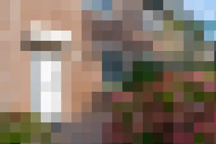 Seychellen 138 Utrecht thumbnail 8