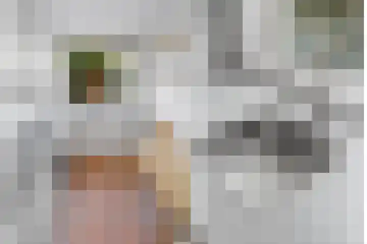 Seychellen 32 Utrecht thumbnail 15