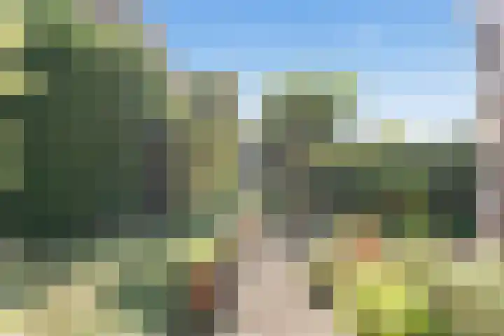 Seychellen 32 Utrecht thumbnail 17