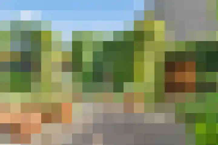 Seychellen 32 Utrecht thumbnail 18