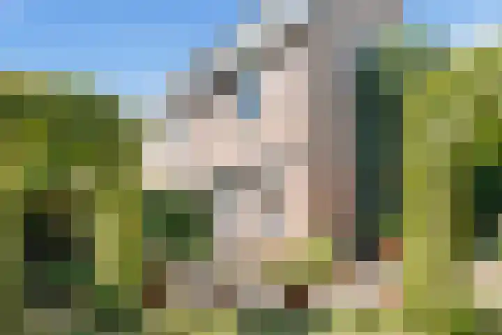 Seychellen 32 Utrecht thumbnail 21