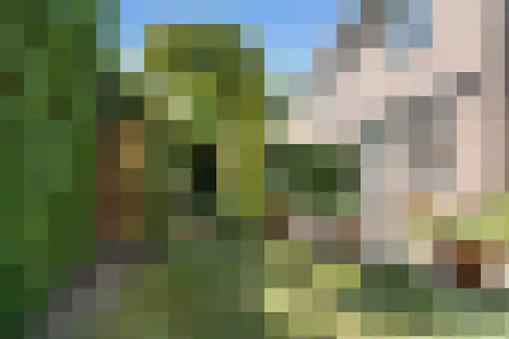 Seychellen 32 Utrecht thumbnail 22