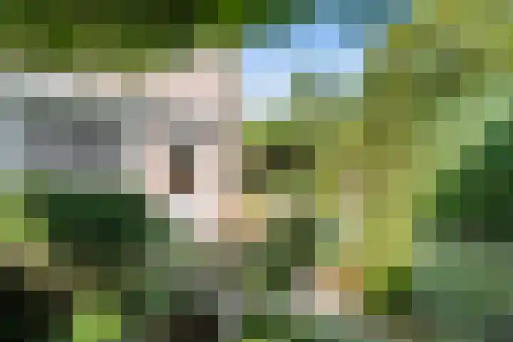 Seychellen 32 Utrecht thumbnail 23