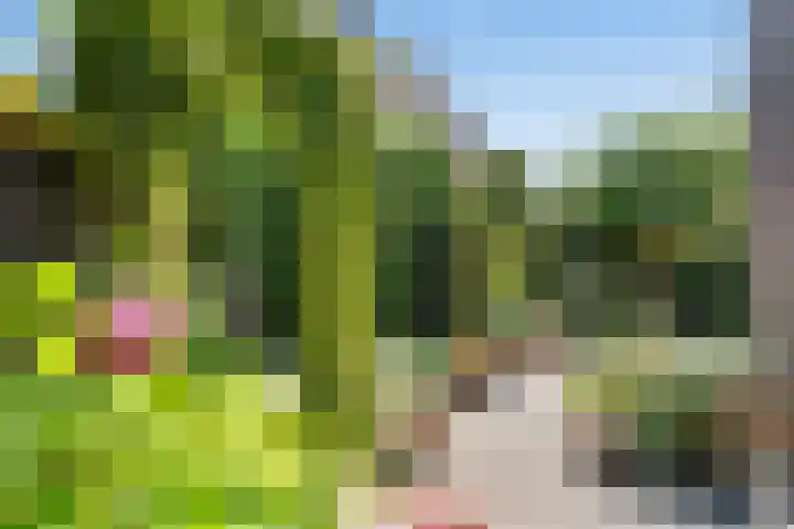 Seychellen 32 Utrecht thumbnail 24