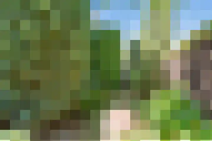 Seychellen 32 Utrecht thumbnail 25