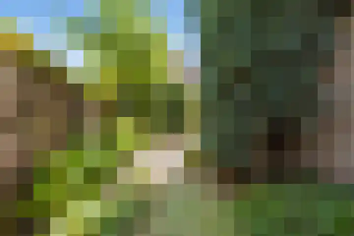 Seychellen 32 Utrecht thumbnail 26
