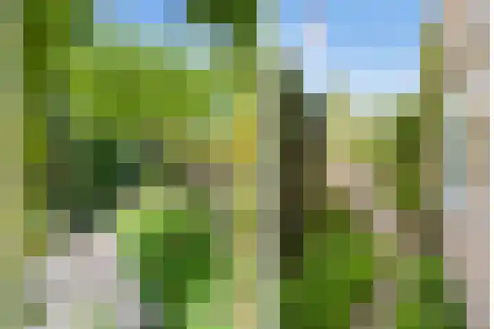 Seychellen 32 Utrecht thumbnail 27