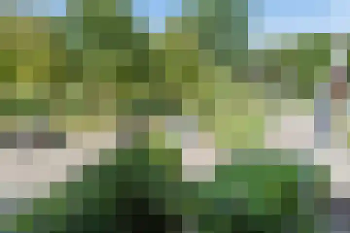 Seychellen 32 Utrecht thumbnail 32