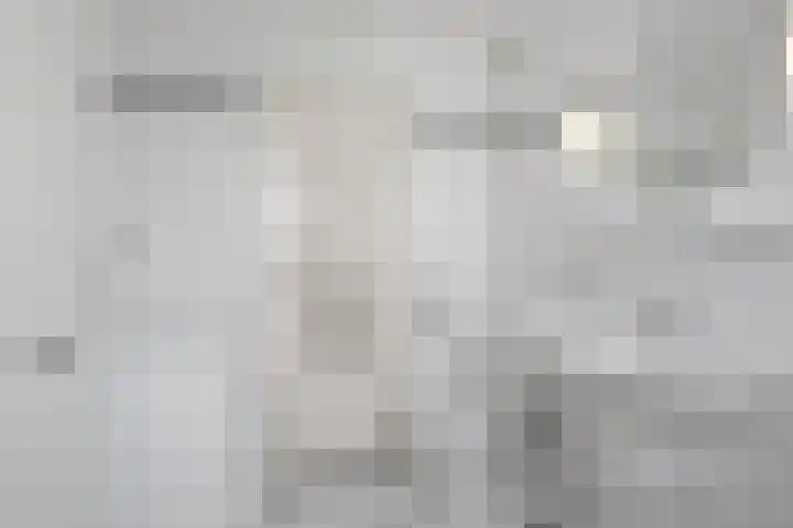 Seychellen 32 Utrecht thumbnail 35