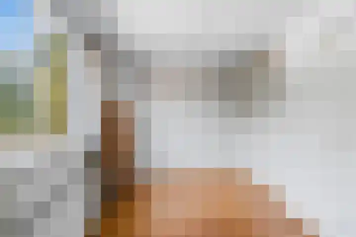 Seychellen 32 Utrecht thumbnail 39