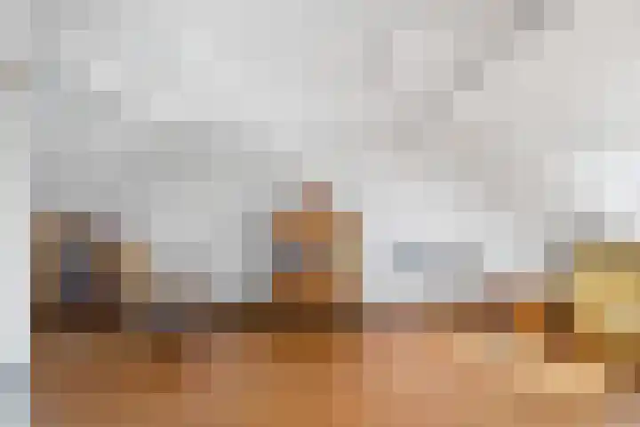 Seychellen 32 Utrecht thumbnail 42