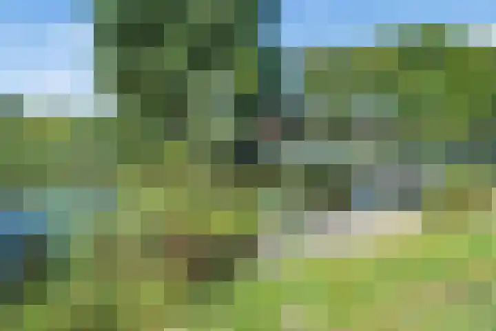 Seychellen 32 Utrecht thumbnail 47