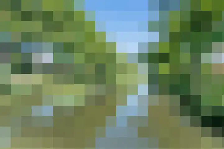 Seychellen 32 Utrecht thumbnail 48