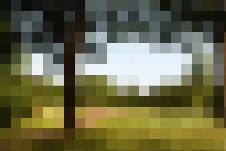 Seychellen 32 Utrecht thumbnail 50