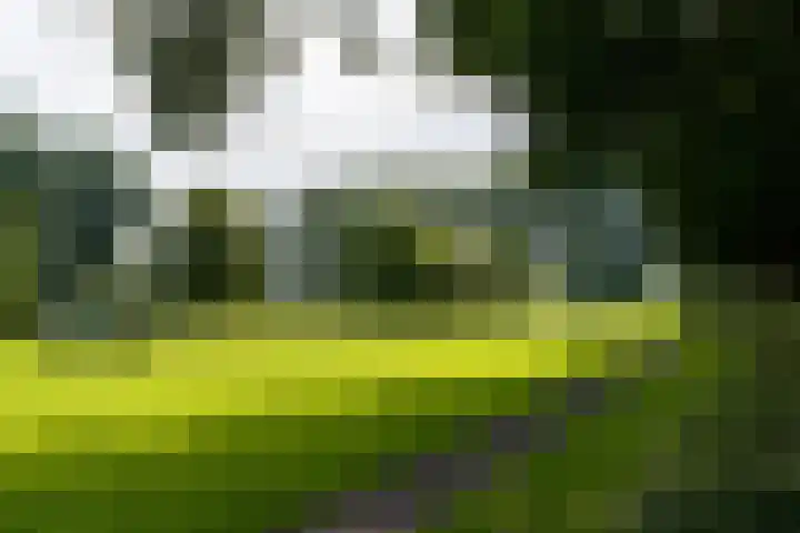 Seychellen 32 Utrecht thumbnail 51
