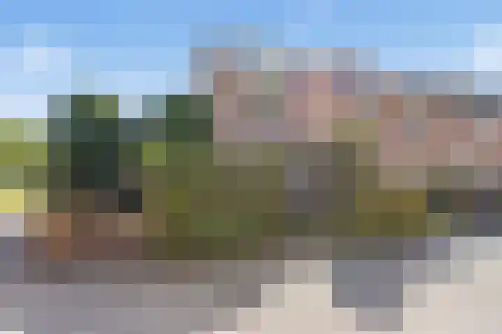 Seychellen 32 Utrecht thumbnail 57