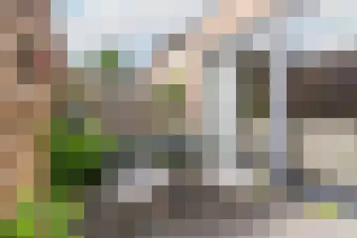 Seychellen 44 Utrecht thumbnail 10