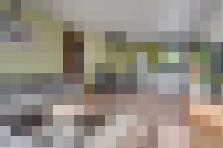 Seychellen 44 Utrecht thumbnail 12