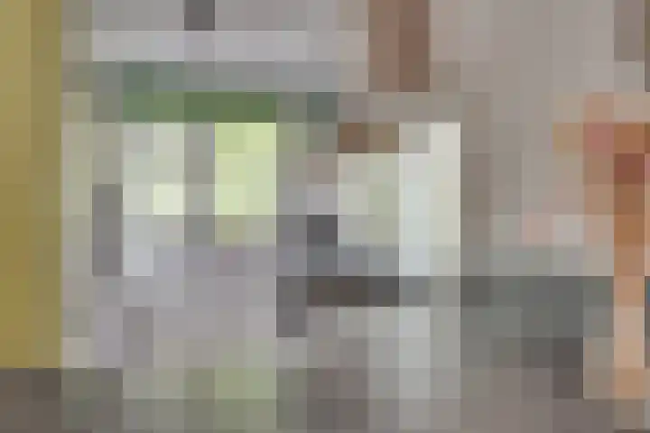 Seychellen 44 Utrecht thumbnail 16