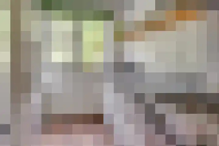 Seychellen 44 Utrecht thumbnail 17
