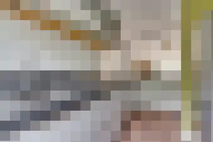 Seychellen 44 Utrecht thumbnail 18