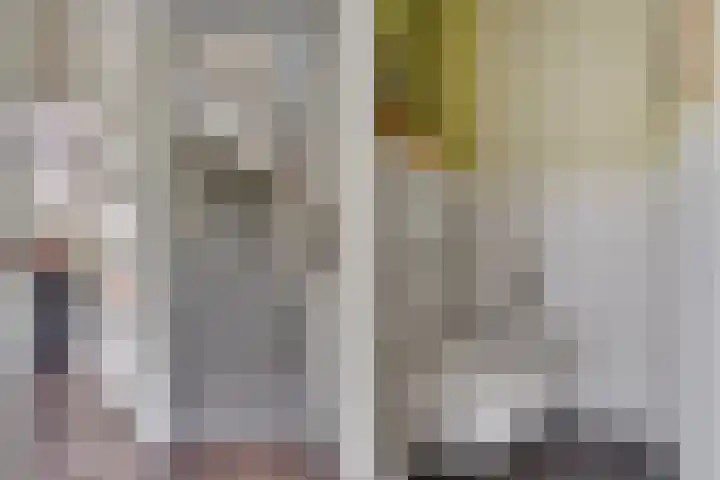 Seychellen 44 Utrecht thumbnail 19