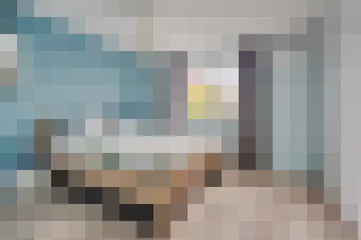 Seychellen 44 Utrecht thumbnail 21