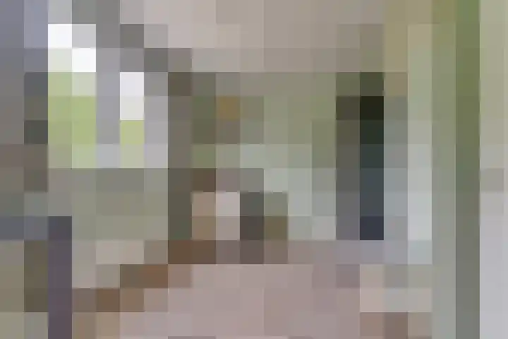 Seychellen 44 Utrecht thumbnail 24