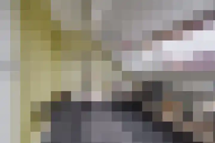 Seychellen 44 Utrecht thumbnail 28