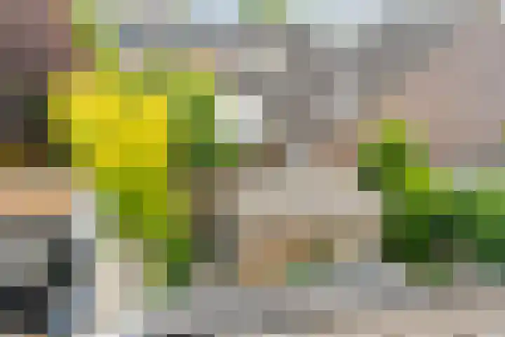 Seychellen 44 Utrecht thumbnail 29