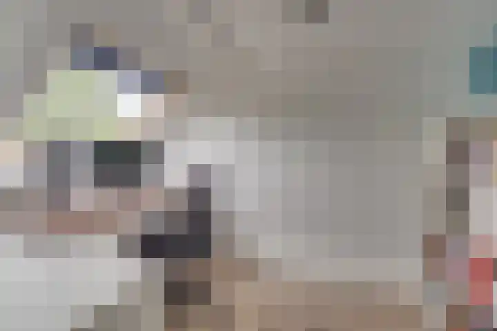 Seychellen 44 Utrecht thumbnail 31