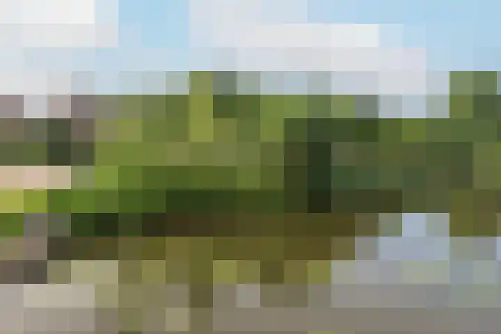 Seychellen 44 Utrecht thumbnail 33