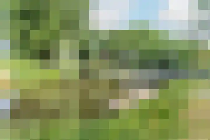 Seychellen 44 Utrecht thumbnail 34