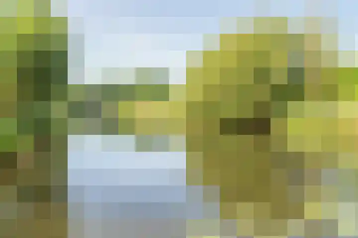 Seychellen 44 Utrecht thumbnail 35
