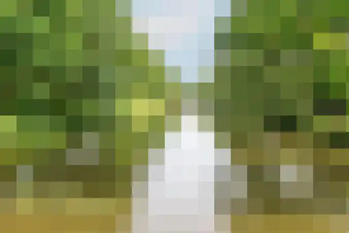 Seychellen 44 Utrecht thumbnail 36