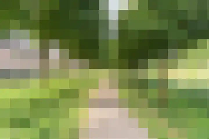 Seychellen 44 Utrecht thumbnail 37