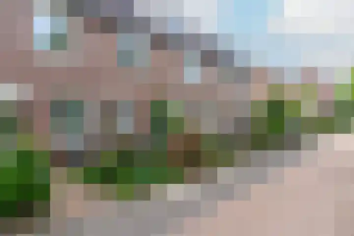 Seychellen 44 Utrecht thumbnail 4