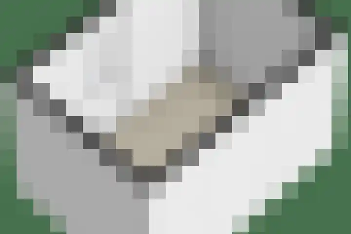Seychellen 44 Utrecht thumbnail 41