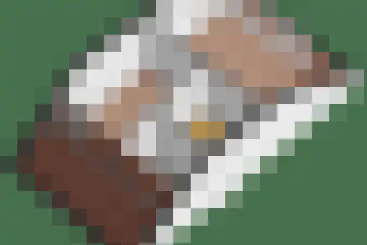 Seychellen 44 Utrecht thumbnail 45