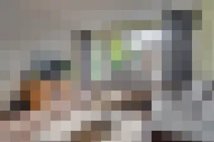 Seychellen 44 Utrecht thumbnail 8