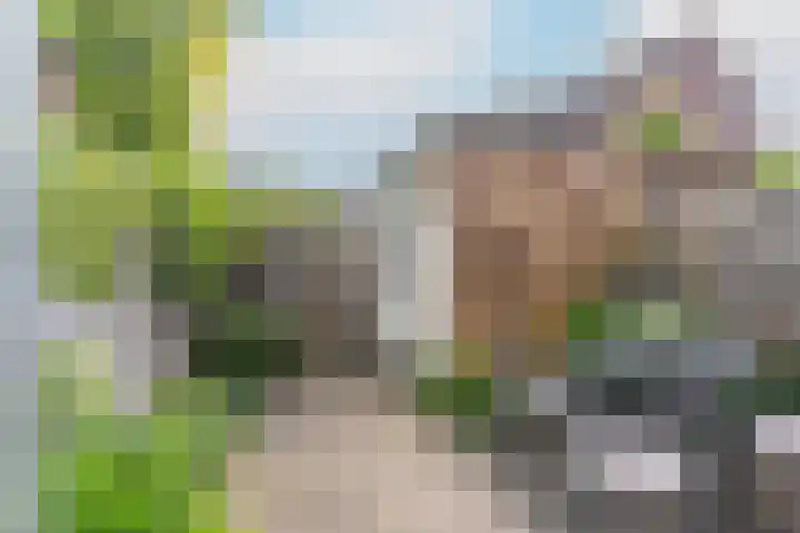 Seychellen 44 Utrecht thumbnail 9