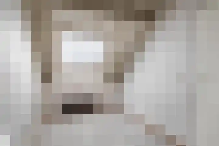 Seychellen 66 Utrecht thumbnail 17