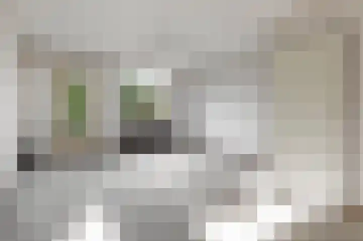 Seychellen 66 Utrecht thumbnail 6