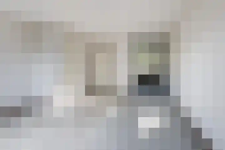 Seychellen 66 Utrecht thumbnail 8