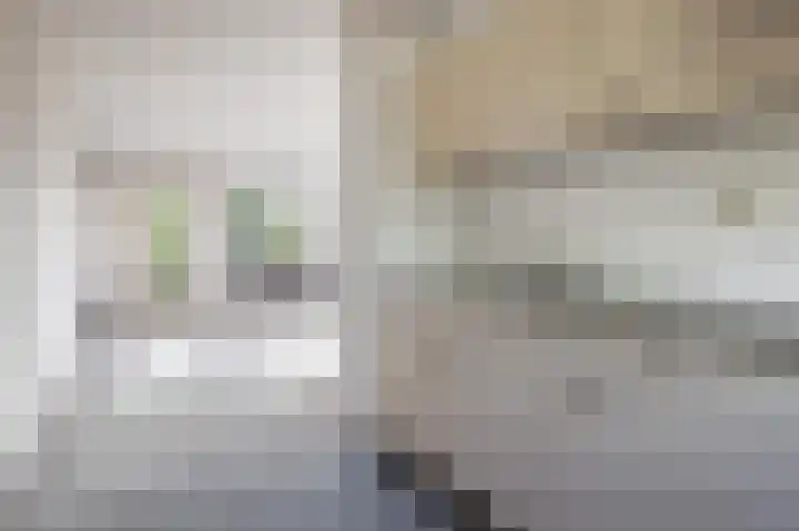 Seychellen 66 Utrecht thumbnail 9
