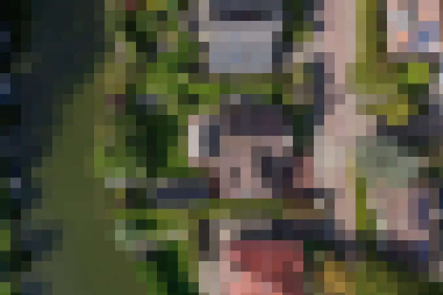 Seyndersloot 11 Enkhuizen thumbnail 12