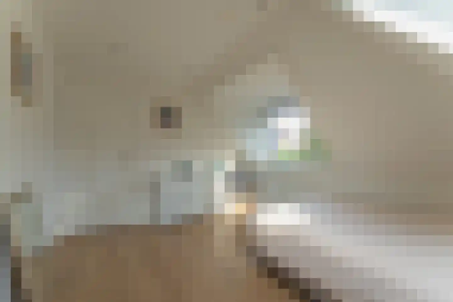 Seyndersloot 11 Enkhuizen thumbnail 34