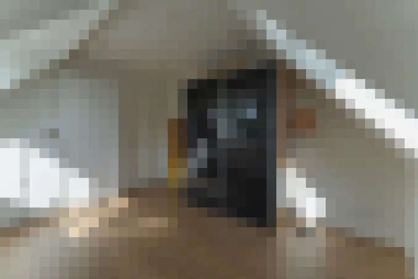 Seyndersloot 11 Enkhuizen thumbnail 42